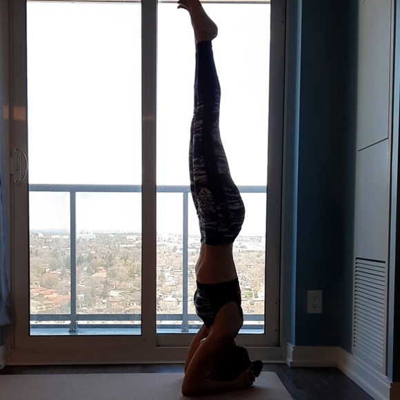 Meet your Posher, Lucia - Picture 2 of 2